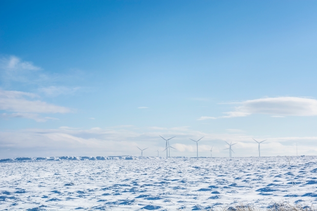 rachel-penney-Jz5MOcrOqZU-unsplash Electric City 2021