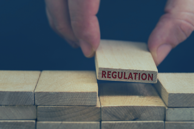 France Article 25 Safety