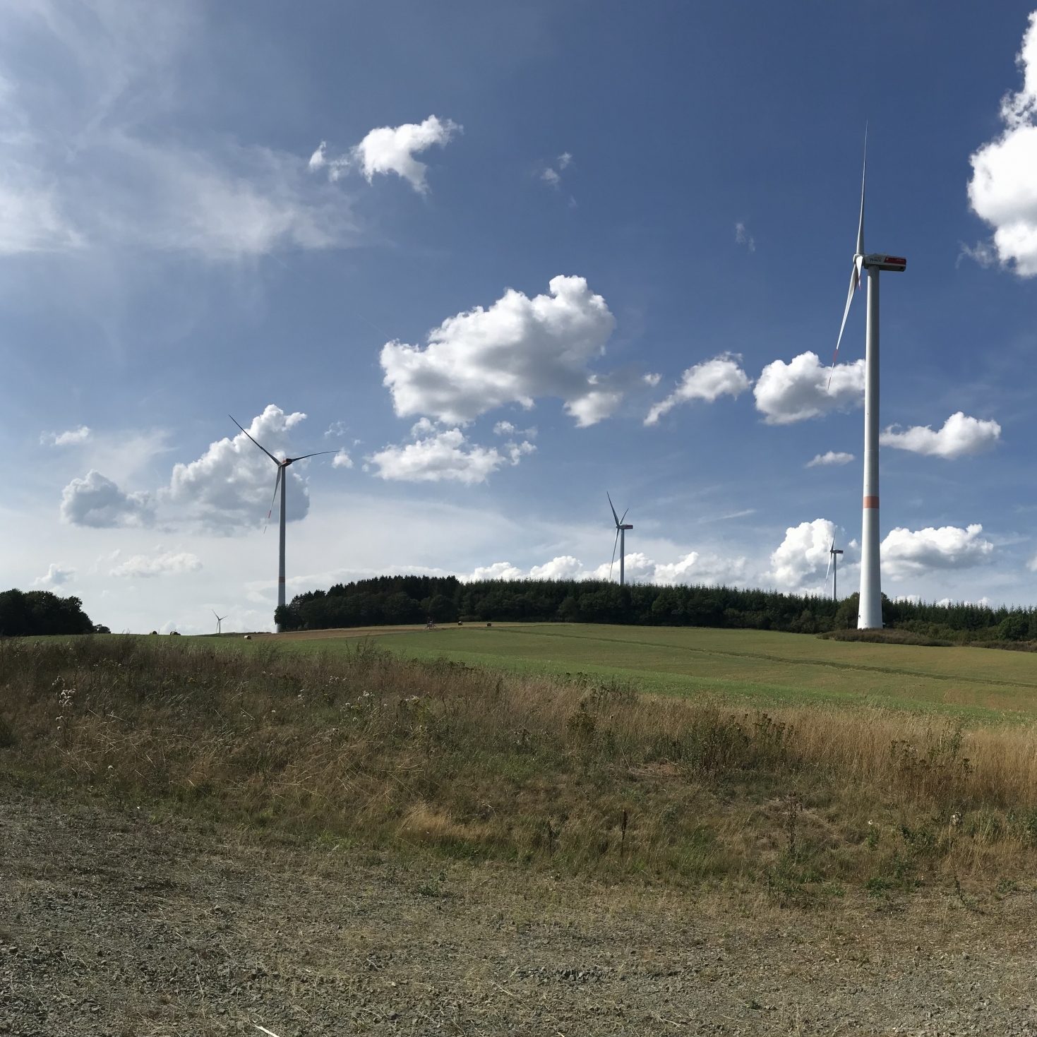 Mainova AG Windpark, Case Study