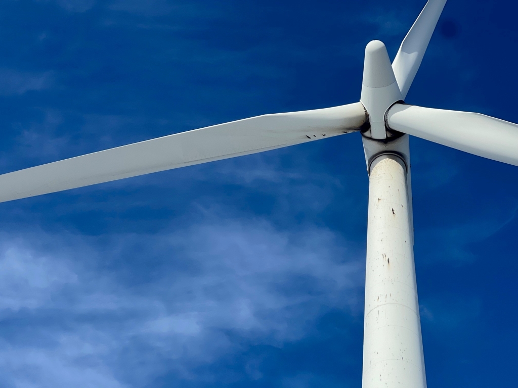 Rotorblätter einer Windenergieanlage.