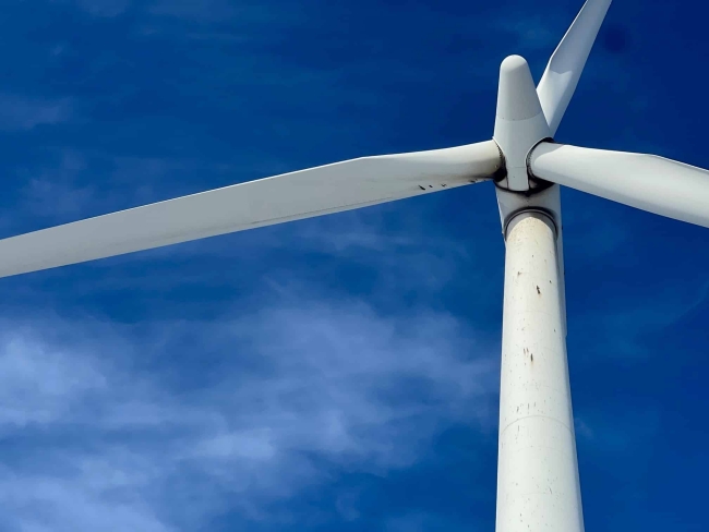 Rotorblätter einer Windenergieanlage.