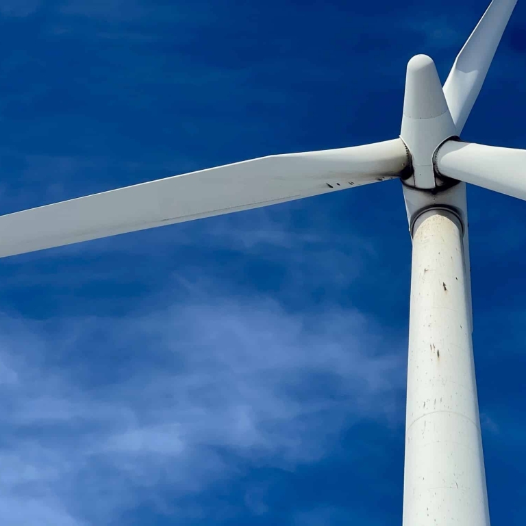 Rotorblätter einer Windenergieanlage.