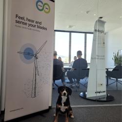 Hunde sind im Office von eologix-Ping willkommen.