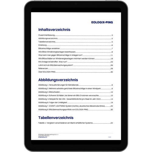 Inhaltsverzeichnis des Whitepapers Blitzüberwachung.