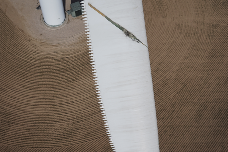 Surface damage detection for wind turbines