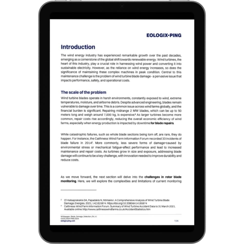 Introduction of whitepaper blade damage detection.