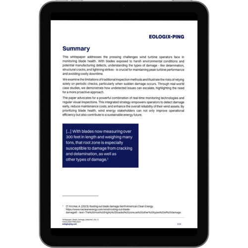 Summary of whitepaper blade damage detection.